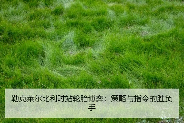 lei-ke-lai-er-bi-li-shi-zhan-lun-tai-bo-yi-ce-lve-yu-zhi-ling-de-sheng-fu-shou-2-596.jpg