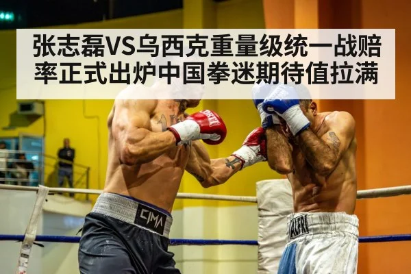 张志磊VS乌西克重量级统一战赔率正式出炉中国拳迷期待值拉满