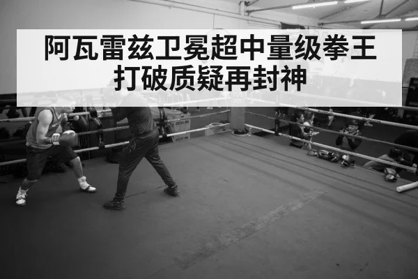 boxer training gym
